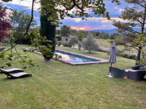 Très beau mas à Bonnieux